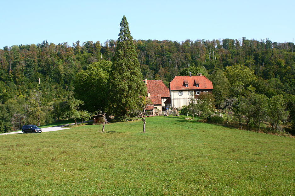 Das Sterben im Sehnsuchtsort Wald