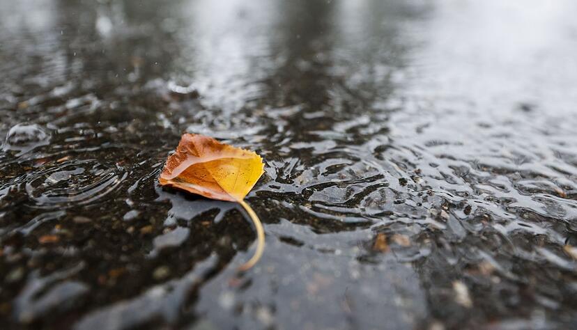Nach einem fr&uuml;hlingshaften Wochenende m&uuml;ssen sich Menschen in Baden-W&uuml;rttemberg vor Dauerregen wappnen. (Symbolbild)