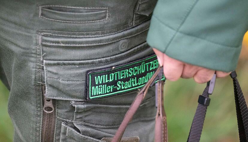 Müller ist Wildtierschützer aus Leidenschaft. Er hat aber noch einen Hauptberuf als Klimatechniker. Müller ist Wildtierschützer aus Leidenschaft. Er hat aber noch einen Hauptberuf als Klimatechniker.