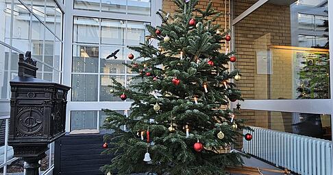 Im Eingangsbereich des Seniorenstifts am Park in Bad Rappenau steht der Wunschbaum, an dem Besucher die W&uuml;nsche der Bewohner erf&uuml;llen k&ouml;nnen.