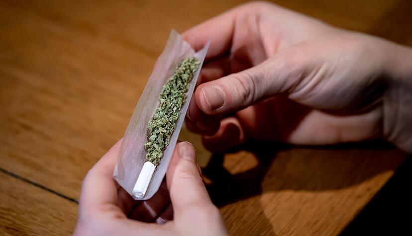 In einer geregelten Cannabis-Abgabe sieht die LSS großes Potenzial und rechnet damit, dass der riskante Zugang über den Schwarzmarkt zurückgedrängt wird. In einer geregelten Cannabis-Abgabe sieht die LSS großes Potenzial und rechnet damit, dass der riskante Zugang über den Schwarzmarkt zurückgedrängt wird.