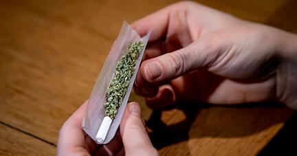 Ärztevertreter sorgen sich vor allem, dass legal erworbenes Cannabis an unter 18-Jährige weitergegeben werden könnte. Laut Bundeszentrale für gesundheitliche Aufklärung haben elf Prozent der Jungen zwischen zwölf und 17 Jahren und acht Prozent der Mädchen schon einmal gekifft. Ärztevertreter sorgen sich vor allem, dass legal erworbenes Cannabis an unter 18-Jährige weitergegeben werden könnte. Laut Bundeszentrale für gesundheitliche Aufklärung haben elf Prozent der Jungen zwischen zwölf und 17 Jahren und acht Prozent der Mädchen schon einmal gekifft.