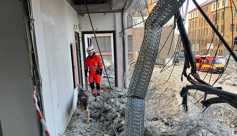 Die Rettungshundestaffel Unterland war im Nachgang der Gasexplosion in Albstadt vor Ort. Hier zu sehen bei einem &Uuml;bungseinsatz.