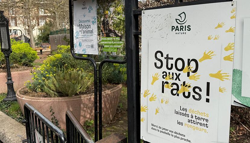 Seit Jahren k&auml;mpft die Stadt Paris gegen die Rattenplage.