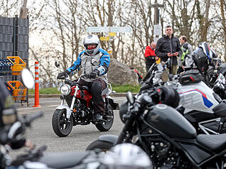 Das fr&uuml;hlingshafte Wetter lockt sie wieder hervor.