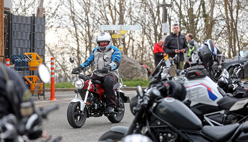 Das fr&uuml;hlingshafte Wetter lockt sie wieder hervor.