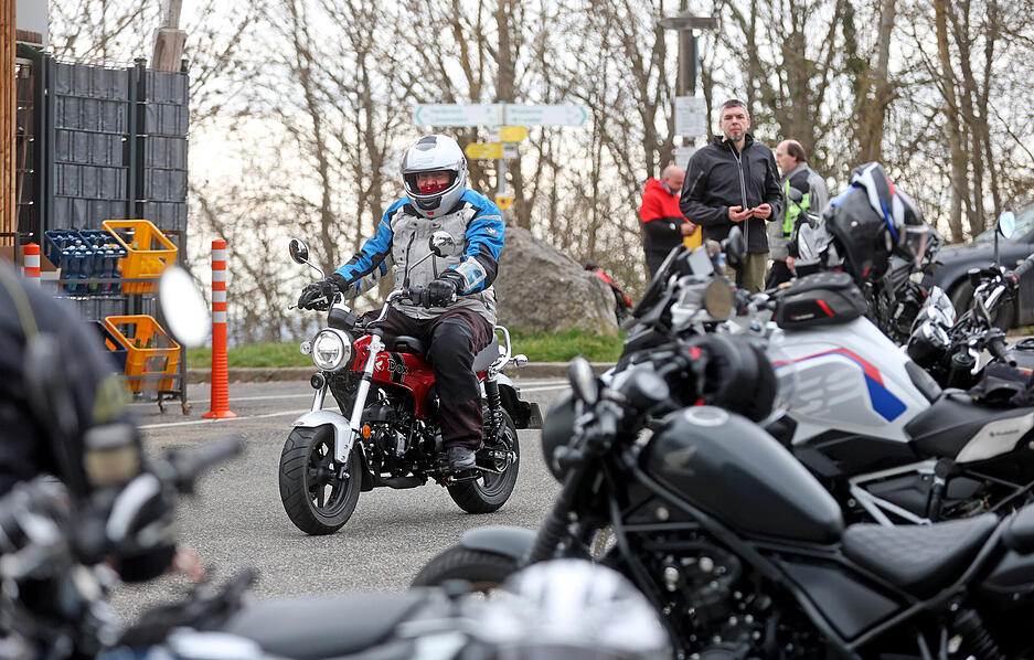 Das fr&uuml;hlingshafte Wetter lockt sie wieder hervor.