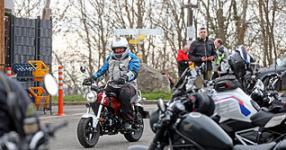 Das frühlingshafte Wetter lockt sie wieder hervor. Das frühlingshafte Wetter lockt sie wieder hervor.