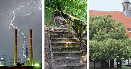 Das höchste Bauwerk der Region, die längste Treppe Waldenburgs oder der älteste Baum im Landkreis Heilbronn: Wir zeigen die Region in Superlativen. Foto: HSt