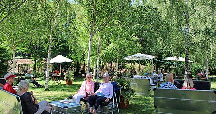 Der Birkenwald neben der Eishalle war bei den Besuchern der Gartenausstellung beliebt. In der Nacht von Samstag auf Sonntag entwendeten Unbekannte jedoch zwei der Boxensofas
Foto: Nicole Mücke Der Birkenwald neben der Eishalle war bei den Besuchern der Gartenausstellung beliebt. In der Nacht von Samstag auf Sonntag entwendeten Unbekannte jedoch zwei der Boxensofas
Foto: Nicole Mücke