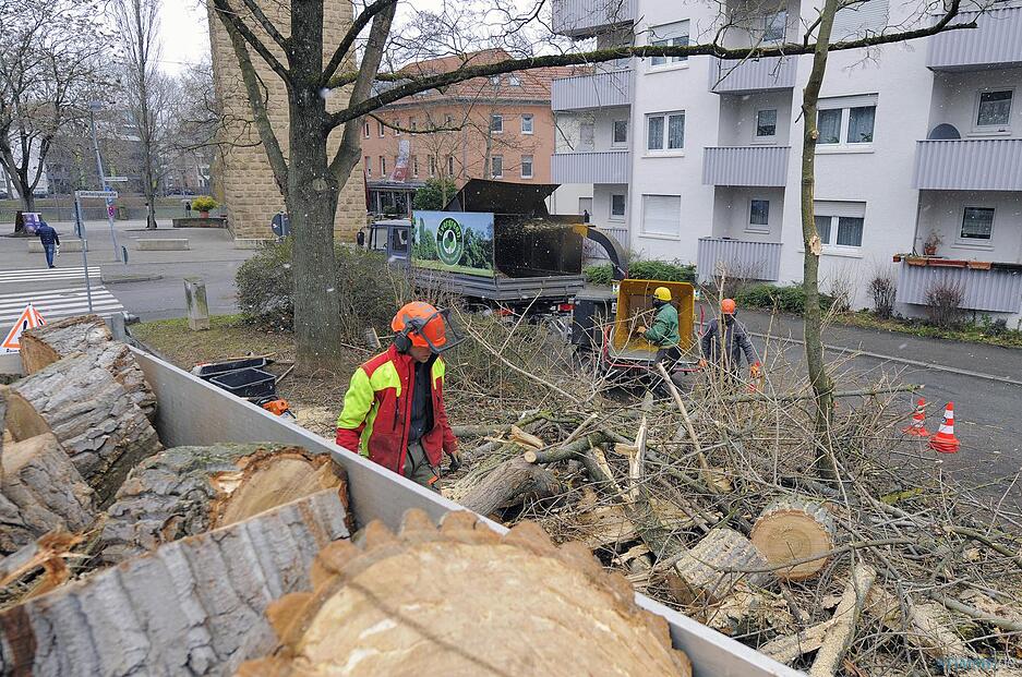 Sturmsch&auml;den in der Region