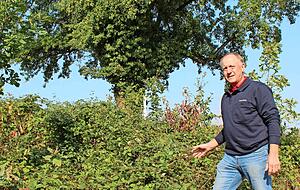Eine buntgemischte Wiese gehört inzwischen genauso zum Golfplatz wie der perfekt gepflegte Rasen, findet nicht nur Head-Greenkeeper Klaus Bortt.
Foto: Stefanie Jani Eine buntgemischte Wiese gehört inzwischen genauso zum Golfplatz wie der perfekt gepflegte Rasen, findet nicht nur Head-Greenkeeper Klaus Bortt.
Foto: Stefanie Jani