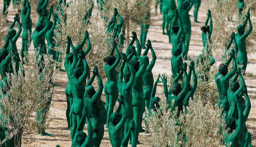 Intensives Grün: Spencer Tunicks erste Kunstinstallation in Andalusien.