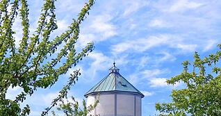 Sigrid Schlottke aus Bad Rappenau hat sich ebenfalls am Fotowettbewerb beteiligt. Hier hat sie den Siegelsbacher Wasserturm festgehalten.
Foto: privat