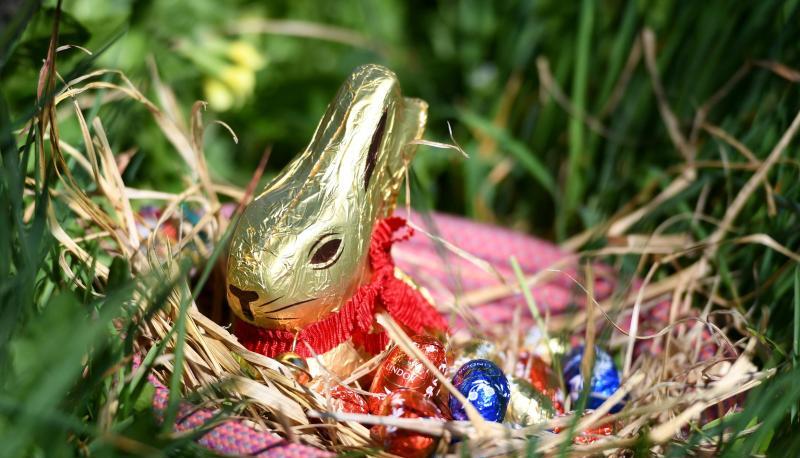 Ein Osternest mit einem Goldhasen von Lindt.