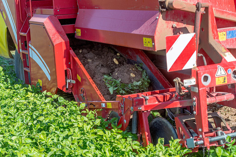 Lauffen bildet den Auftakt f&uuml;r den Erntebeginn bei Fr&uuml;hkartoffeln im Heilbronner Unterland.