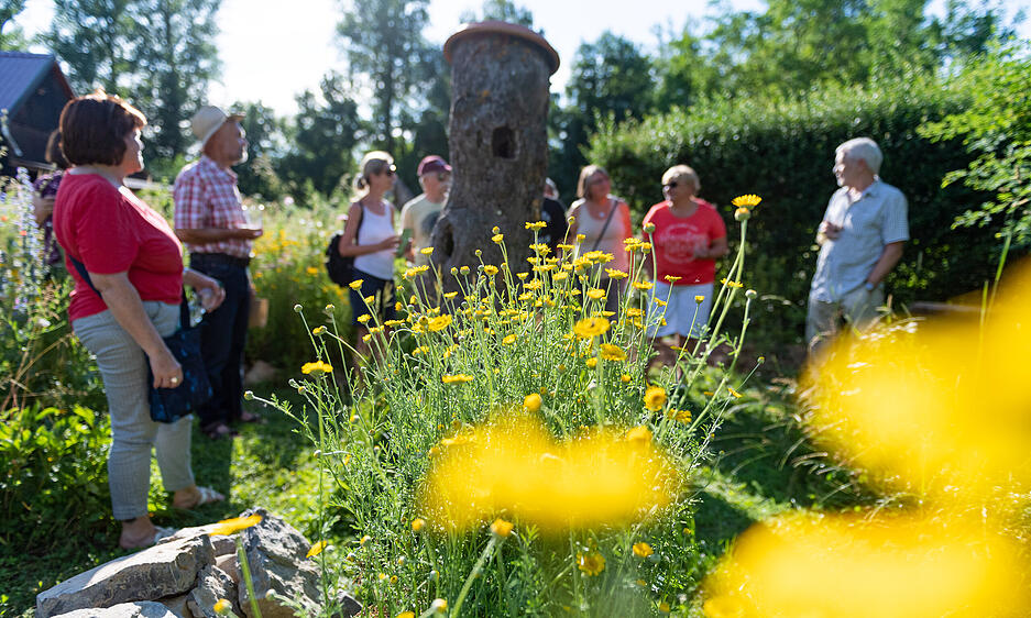 XXL-Lesersommer: Naturgartenbesuch bei Heimatreporter Magnus Diller in Oedheim