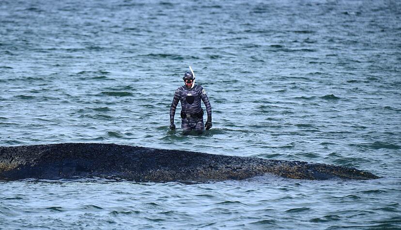 Bei der Rettungsaktion vor Timmendorfer Strand hat Lehmann unterst&uuml;tzt. (Archivbild)