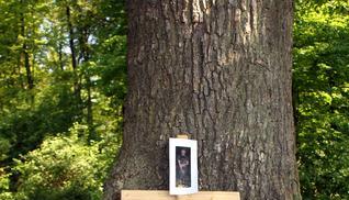 Ein Kreuz, Teelichter, Kerzen: Gedenken am Haigern-Grillplatz.