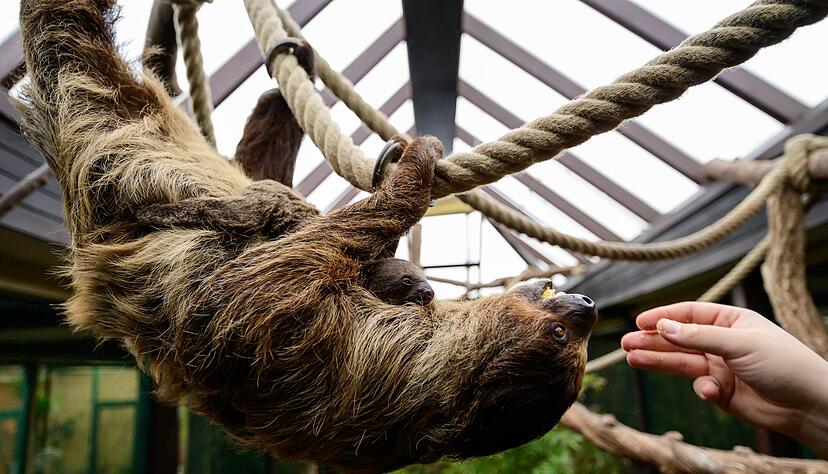 Die Mama nimmt das Ganze gelassen.