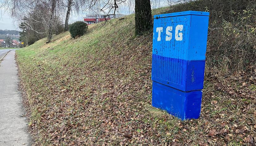 Dieser bespr&uuml;hte Schaltkasten steht in Heilbronn-Biberach.