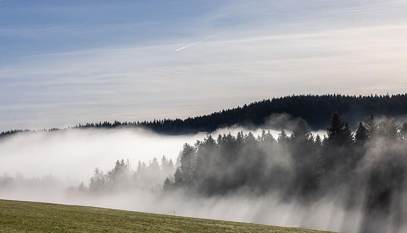 W&auml;hrend es im Tal eher tr&uuml;b bleiben d&uuml;rfte, zeigt sich in den H&ouml;henlagen von Schwarzwald und Schw&auml;bischer Alb laut DWD am Wochenende h&auml;ufiger die Sonne. (Archivbild)