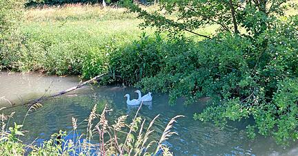 Gabriele Pfeiffer stirbt bei einer 700-Jahr-Feier. Ihre Leiche wird damals im Erlenbach nahe dem Festgelände entdeckt. Gabriele Pfeiffer stirbt bei einer 700-Jahr-Feier. Ihre Leiche wird damals im Erlenbach nahe dem Festgelände entdeckt.