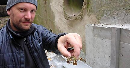 Benjamin Waldmann zeigt den heimischen Flusskrebs aus der Sulm. Die Krebspest macht dem Bachbewohner den Garaus, wenn man ihm nicht hilft. Foto: Gustav D&ouml;ttling