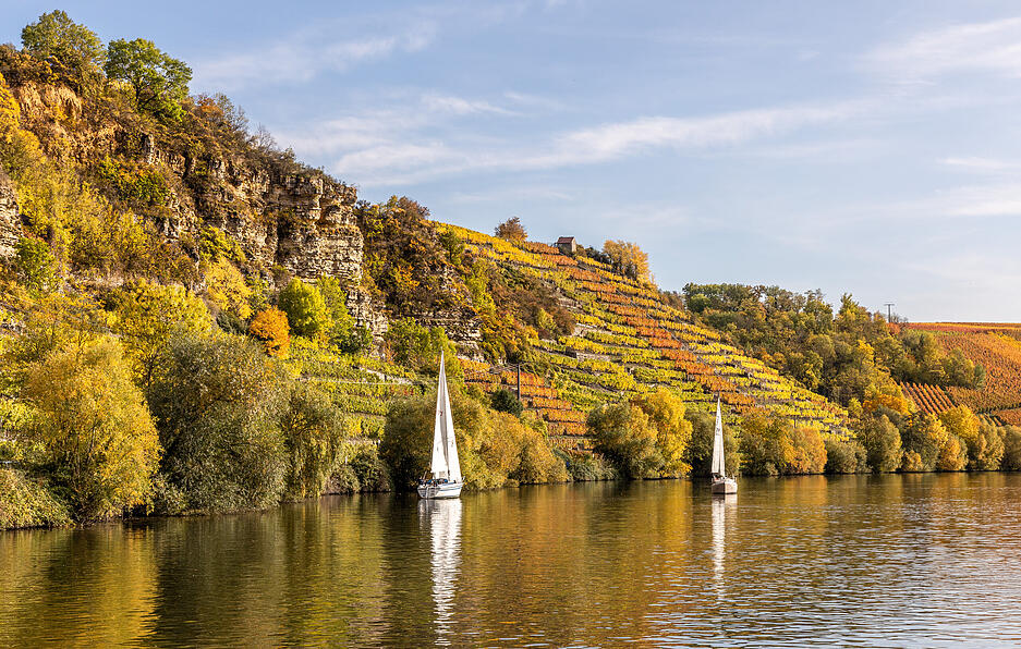 Vom Krappenfelsen in Lauffen hat man eine fantastische Aussicht auf den Neckar. meine.stimme-Heimatreporterin Uschi Pohl hat die entgegengesetzte Perspektive gewählt - und ein ebenso tolles Foto gemacht.