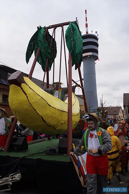 Faschingsumzug in Assamstadt II | 03.03.