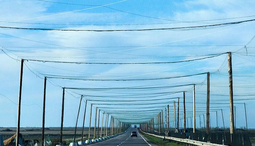 Netze über den Strtaßen bei Cherson sollen russische Drohnen abhalten. (Archivbild) Netze über den Strtaßen bei Cherson sollen russische Drohnen abhalten. (Archivbild)