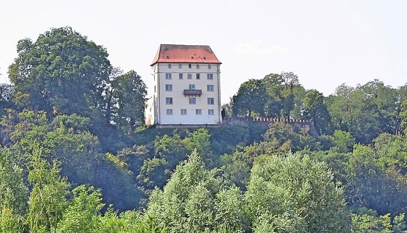 Die Fahrt hinauf lohnt sich: Vom Schloss Neuburg bei Obrigheim aus hat man einen wunderbaren Blick auf die Natur im Neckartal.
Foto: Andreas Zwingmann Die Fahrt hinauf lohnt sich: Vom Schloss Neuburg bei Obrigheim aus hat man einen wunderbaren Blick auf die Natur im Neckartal.
Foto: Andreas Zwingmann