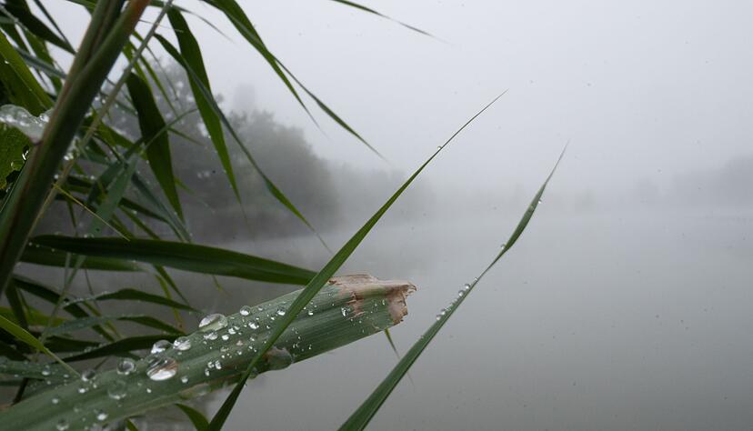 Vorhersage: Wetter zum Wochenbeginn mit Regen und Gewittern. (Archivbild) Vorhersage: Wetter zum Wochenbeginn mit Regen und Gewittern. (Archivbild)
