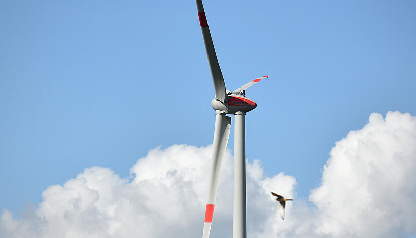 Ein Rotmilan in unmittelbarer Nähe eines Windrads: Birdvision schaltet die Anlagen bereits ab, bevor ein Vogel derart nahe kommt.