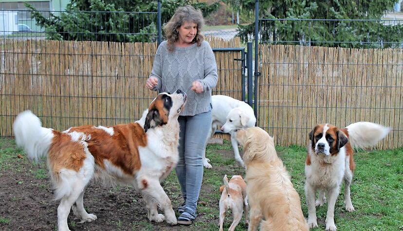 Zu ihren drei eigenen Hunden kommen jeweils mehrere &quot;Tagesgäste&quot;: Elke Bachmann mit einigen ihrer Schützlinge im Garten ihres Zaberfelder Hauses.Foto: Thomas Dorn