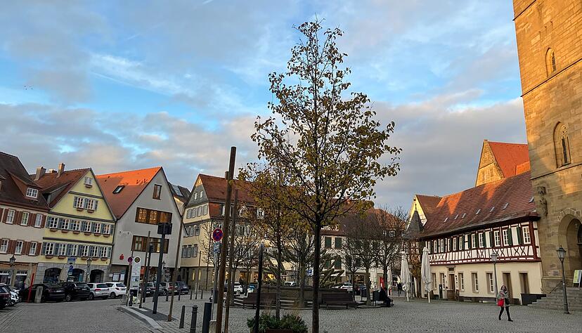 Der &Ouml;hringer Marktplatz soll mehr Aufenthaltsqualit&auml;t bekommen, die Innenstadt soll lebendiger werden. Daf&uuml;r wird das tempor&auml;re Durchfahrtsverbot aufgehoben. Stattdessen soll mit einem Verkehrsversuch im kommenden Jahr nach einer guten L&ouml;sung gesucht werden.