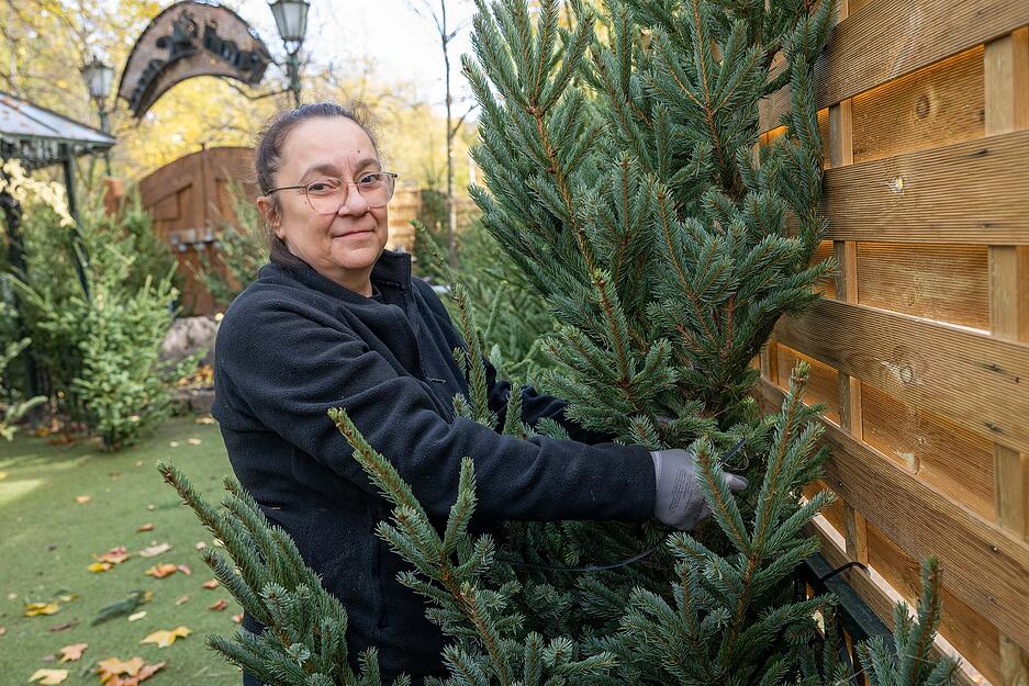 140 festlich beleuchtete Weihnachtsbäume schaffen ein stimmungsvolles Ambiente. 140 festlich beleuchtete Weihnachtsbäume schaffen ein stimmungsvolles Ambiente.