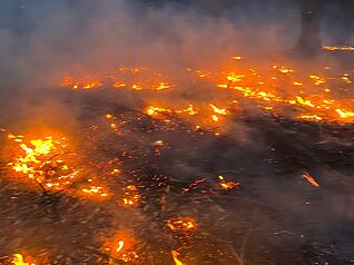 In einem Waldst&uuml;ck bei Bretzfeld ist es am Dienstag zu einem Fl&auml;chenbrand gekommen.