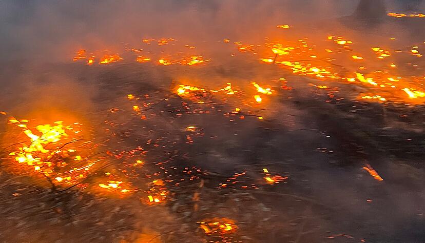 In einem Waldstück bei Bretzfeld ist es am Dienstag zu einem Flächenbrand gekommen. In einem Waldstück bei Bretzfeld ist es am Dienstag zu einem Flächenbrand gekommen.