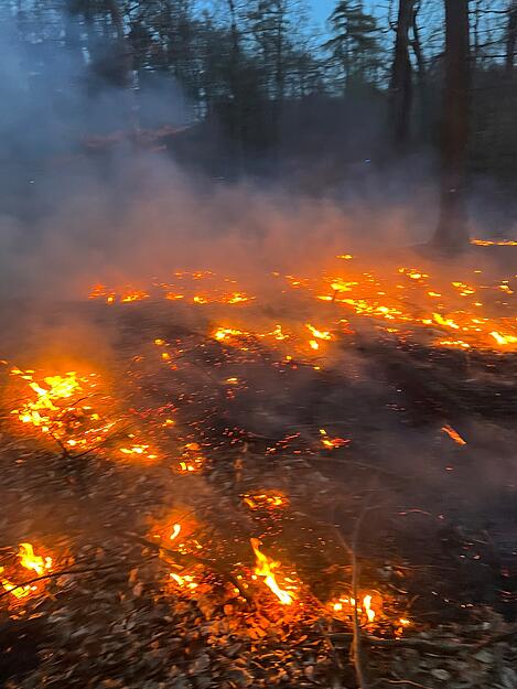 In einem Waldstück bei Bretzfeld ist es am Dienstag zu einem Flächenbrand gekommen. In einem Waldstück bei Bretzfeld ist es am Dienstag zu einem Flächenbrand gekommen.