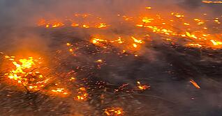 In einem Waldstück bei Bretzfeld ist es am Dienstag zu einem Flächenbrand gekommen. In einem Waldstück bei Bretzfeld ist es am Dienstag zu einem Flächenbrand gekommen.