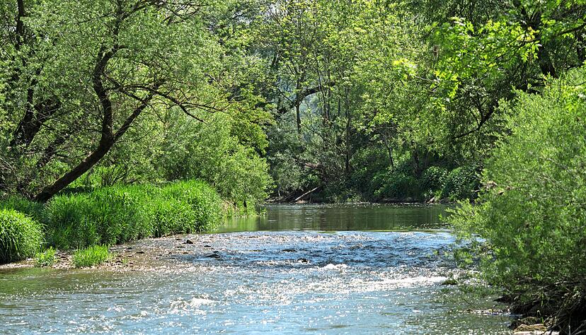 Ein kühlendes Fußbad an der Jagst hilft sicher nach einer anstrengenden Wanderung. Oder man genießt einfach das Naturidyll beim Vorbeistreifen. Ein kühlendes Fußbad an der Jagst hilft sicher nach einer anstrengenden Wanderung. Oder man genießt einfach das Naturidyll beim Vorbeistreifen.