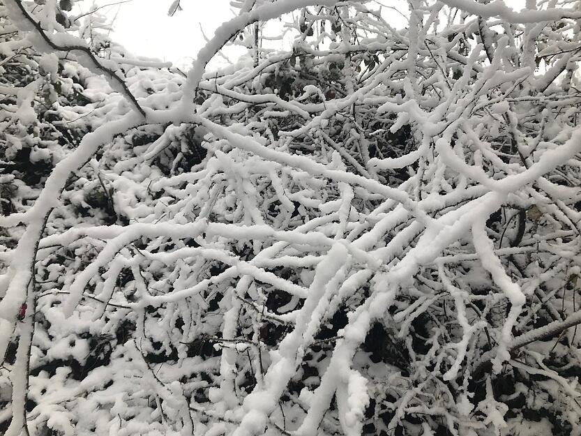Schnee in W&uuml;stenrot