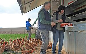 Wer Massenbachhausen Richtung Gemmingen
verlässt, kommt an den mobilen Hühnerställen von Jens, Bernd und Ute Schwarz (v.l.) vorbei. Foto: Linda Möllers Wer Massenbachhausen Richtung Gemmingen
verlässt, kommt an den mobilen Hühnerställen von Jens, Bernd und Ute Schwarz (v.l.) vorbei. Foto: Linda Möllers