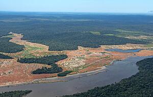 Abgeholzte Regenwaldflächen: Die kahlen Brachen dringen am Amazonas immer weiter vor.