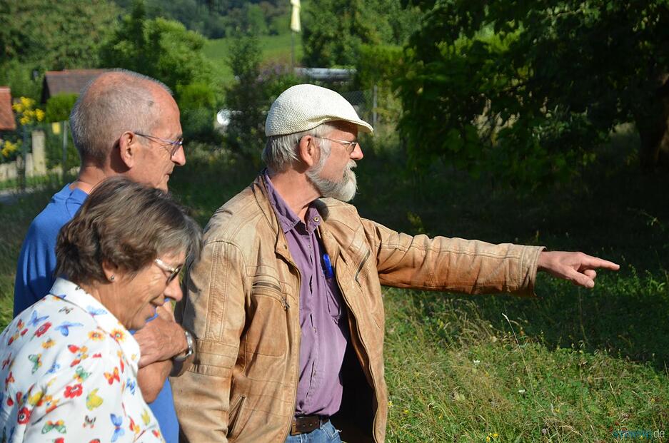 Artenvielfalt im heimischen Garten Artenvielfalt im heimischen Garten