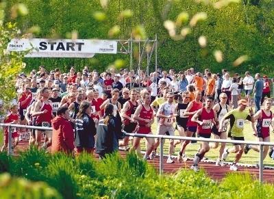 Ein weites Feld: 385 Sportler rannten am Samstag beim 7. Ottilienberglauf des TV Eppingen um die Wette. Bei den 20 Kilometern hatte Triathlet Peter Greulich die Nase vorn &ndash; und gewann in 1:23:05 Stunden.Fotos: Klaus Kr&uuml;ger