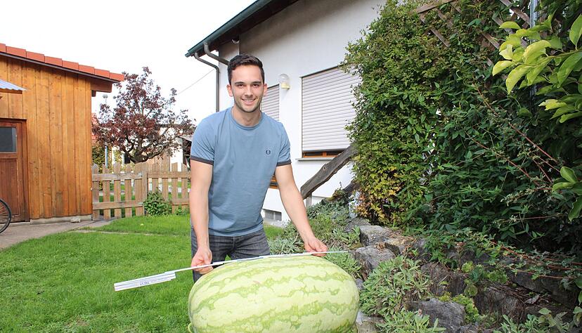 Diese Wassermelone hat es in sich. Der stolze Z&uuml;chter Jonas Gr&auml;ter aus dem Pfedelbacher Teilort Windischenbach hat sie ganz genau vermessen und gewogen und damit in Ludwigsburg den ersten Preis gewonnen.