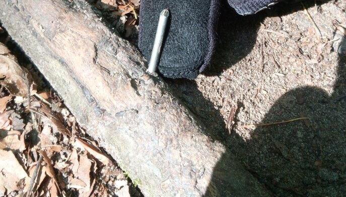 Auch dieser Nagel wurde auf der Strecke bei Etzlenswenden gefunden. Foto: privat