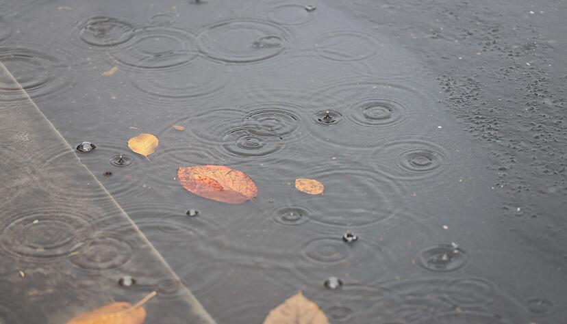Insbesondere im Norden kam viel Regen herunter. (Archivbild)
